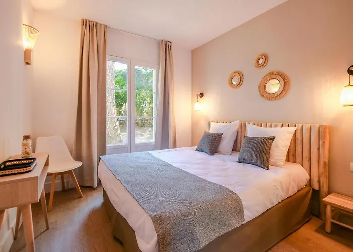 Ombre Des Pins A Saint Tropez XIX